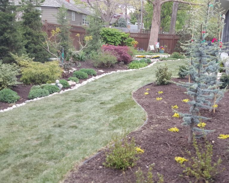 Backyard Landscaping Ideas For Large Yards