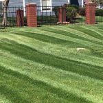 lawn mowing services