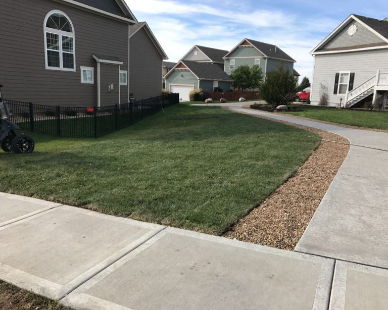 Should You Install Your New Lawn Using Seed Or Sod?