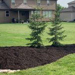 lawn aeration and overseeding