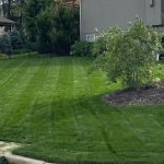 lawn care services