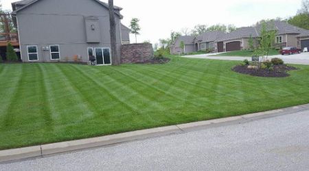 lawn care services