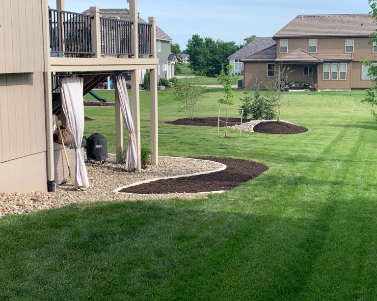 Give Your Lawn a Good Spring Cleanup