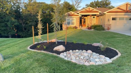 tree planting installation